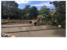 Photos by Foothill Nursery & Landscape Inc #1