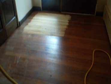 PREMIER HARDWOOD RESTORATIONS vs. PET STAINS Red oak hardwood damaged by pets stains. Job to be sand and finished with a dark walnut stain to hide/camo