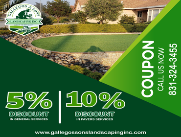 Photos by Gallegos & Sons Landscaping Inc #7