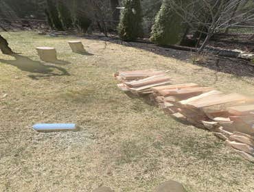Photos by Yandi's Tree Service #31