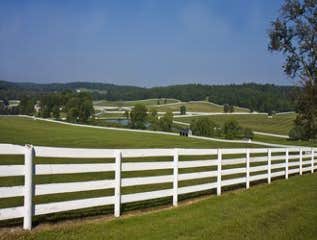 Fences