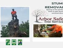 Photos by Arborsafe Tree Service #1