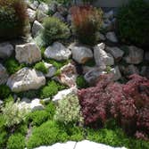 Lush rock retaining wall