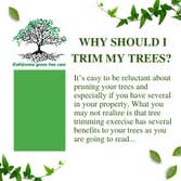 California Green Tree Care