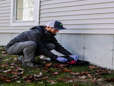 Photos by Green Shield Pest Solutions #1 We use family and pet-friendly products to eliminate pests from your home or business.