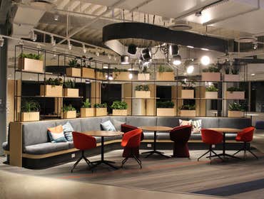 Planter Boxes and Room Divider