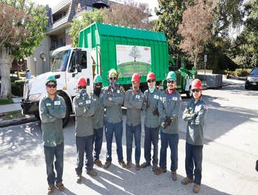 Photos by California Green Tree Care #1