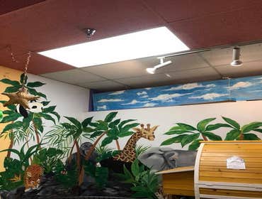 Photos by Blue Collar Electricians Llc #1
