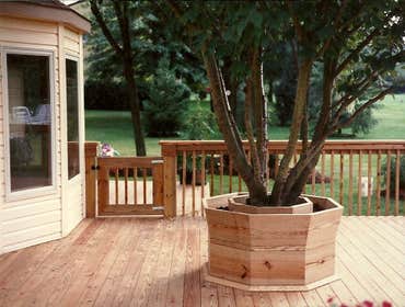 tree planter
