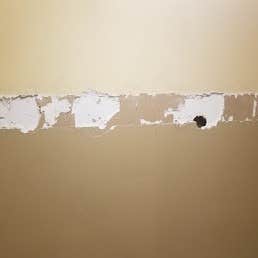 Automated Drywall Service