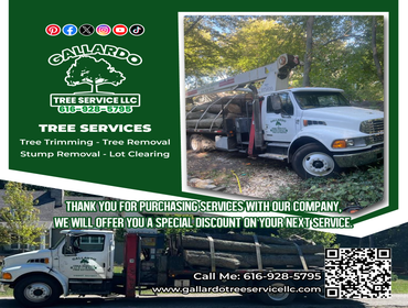 Photos by Gallardo Tree Service LLC #7