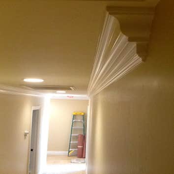 Tom Wieneski, Painting Contractor Project