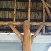 Photos from Paradise Palapas
