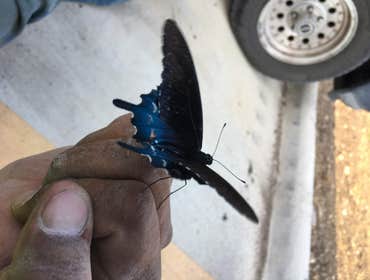 Photos by ATX JG&W Construction #1