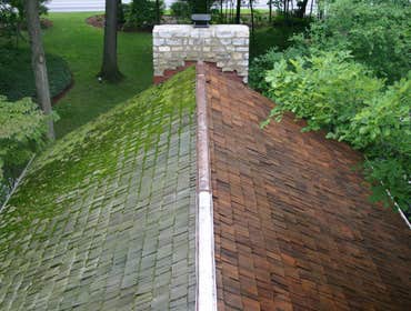 Photos from Force Power Washing Before & After Photos Of Pressure Washing Jobs
