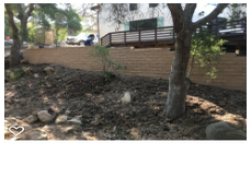 Photos by Foothill Nursery & Landscape Inc #1