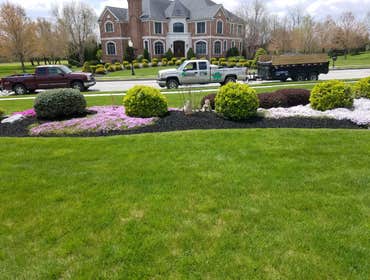Photos by Amigos Lawn Care & Tree Service #1