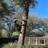 Bucket Man Tree Services
