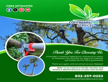 Photos by Contreras Tree Services #40