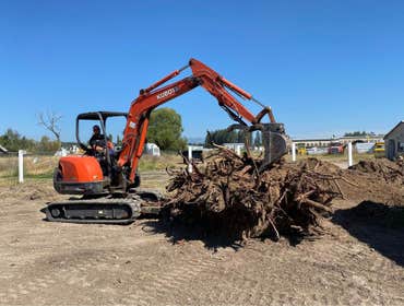 Stump Removal