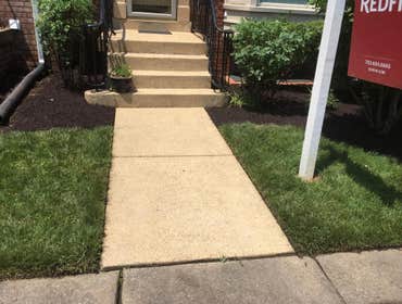 Photos by Orellana Lawn & Tree Services #4