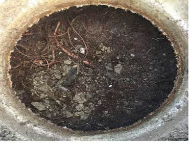 Photos by Merced Septic Cleaning #1