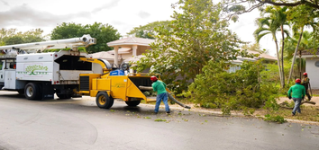 Photos by Real Tree Team Palm Beach #1