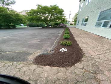 Photos by Professional Master Landscaping LLC #6