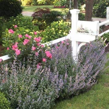 Cooper Landscaping Inc
