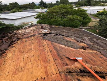 Photos by Gold Star Roofing LLC #1