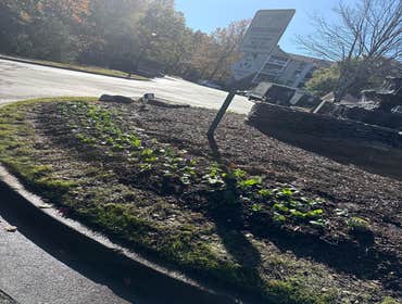 Photos by Garcia's Lawncare & Landscaping #1