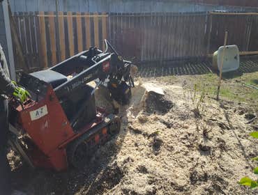 Tree Removal/Timber Services