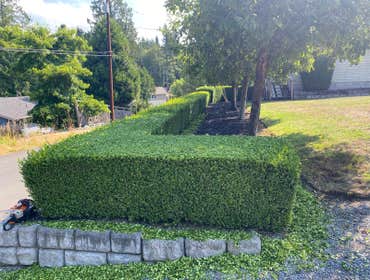 Photos by M.H Landscaping LLC #2