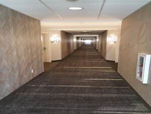 Carpet Installation Right off the bat, we’re probably going to be one of the higher priced options when it comes to replacing your carpet. That said, w
