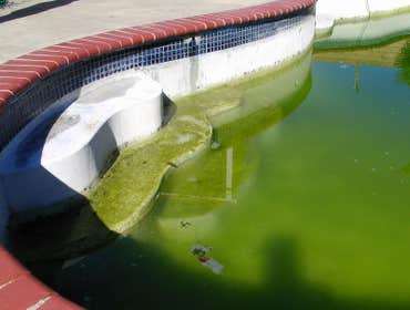 San Diego Pool Plastering | Baja Pool Plastering At San Diego Baja Pool Plastering we have been specializing in replastering old swimming pool surfaces