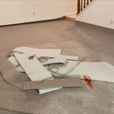 Photos by Eco Pioneer Flooring #1