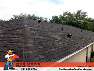 Photos by Red dog's Roofing of Florida #1