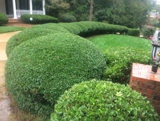 Photos by Don Cele Landscaping #1
