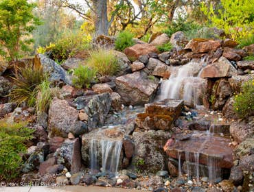 Photos by Cascade Gardens Inc #1