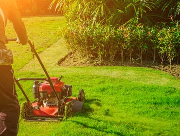 Photos by Phx Landscaping Services #1