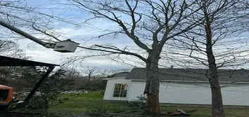 Santana Tree Service LLC