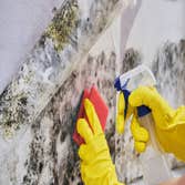 Photos by Mold Remediation Lancaster #1