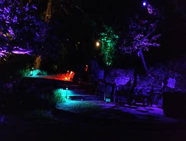 SMART landscape lighting