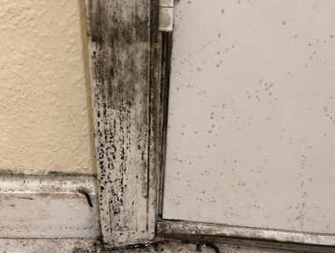 Photos by Imold Cleaning and Restoration - Water Damage and Mold Removal Specialists #1