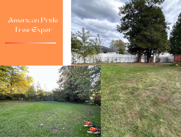 Photos by American Pride Tree Experts & Landscaping Inc #64
