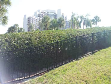 Grand Cypress Pool Fence