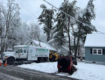 Photos by Yandi's Tree Service #12
