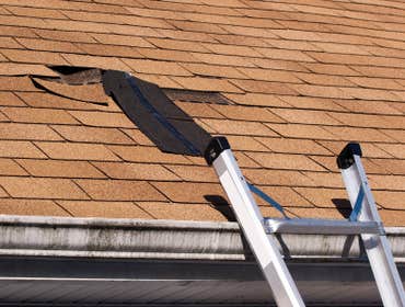 roof