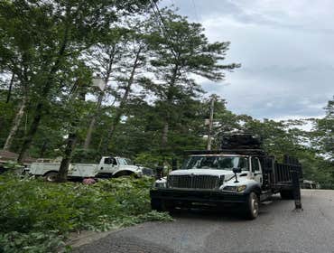 Photos by Rg Tree Services #1