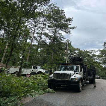 Photos by Rg Tree Services #1